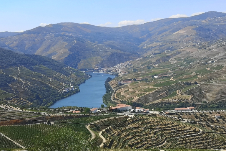 Coucher de soleil sur la vallée du Douro, spectacle en direct, repas de chef, dégustation de vins