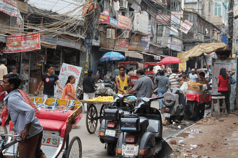 Visite guidée privée d'une journée à Delhi