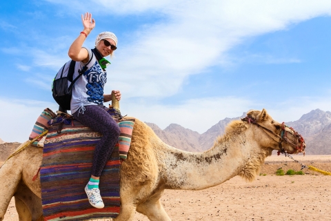 Hurgada: safari de 3 horas en quad y camello por el desiertoPuesta de sol en quad, paseo en camello y pueblo beduino