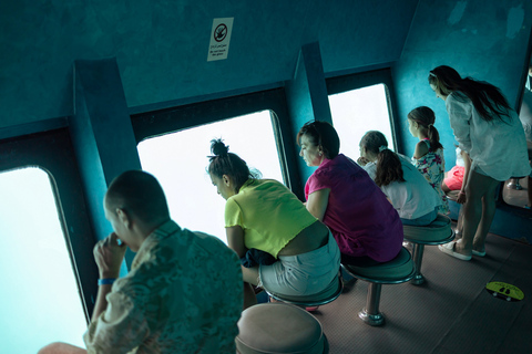 Hurghada : Excursion de plongée en apnée semi-sous-marine sur l'île Paradise