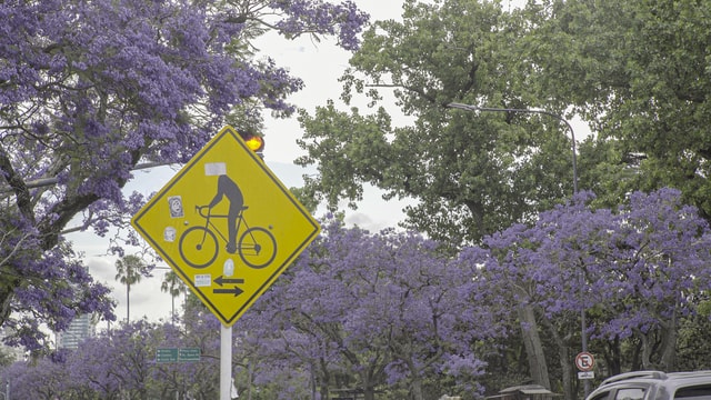 Buenos Aires in one day on E-bikes with Lunch