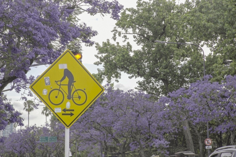 Buenos Aires an einem Tag auf E-Bikes mit MittagessenBuenos Aires an einem Tag mit dem E-Bike