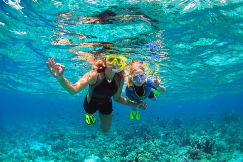 Cayo Hueso: Reef Snorkel Morning Tour con desayuno y mimosas