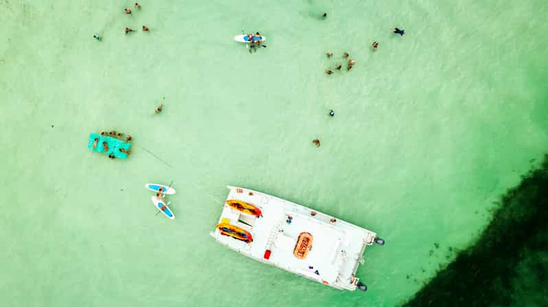 Key West: Sandbar Excursion & Kayak Tour with Lunch & Drinks | GetYourGuide