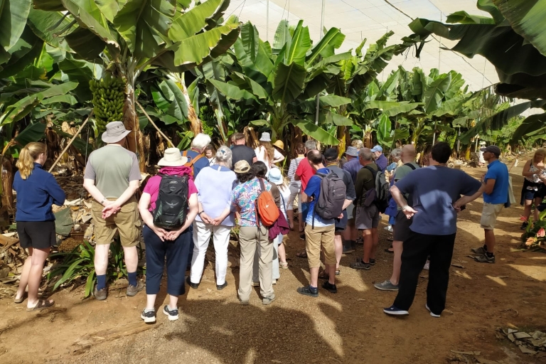 Tenerife : Finca Las Margaritas Banana experience Guided tour in Spanish and English
