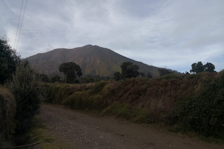 Excursion d'une journée au volcan Irazú et au volcan Turrialba au départ de San José