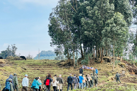 Volcanoes National Park: Dian Fossey Tomb Hike from Kigali