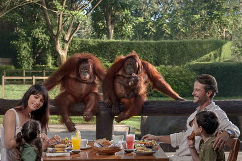 Bali Zoo: Frukost med orangutangerFrukost med orangutang - samling på Bali Zoo