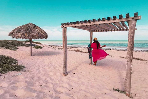 Wycieczka do Ría Lagartos, Coloradas i Playa CancúnitoMerida: Wycieczka na plażę Ria Lagartos, Coloradas i Cancunito