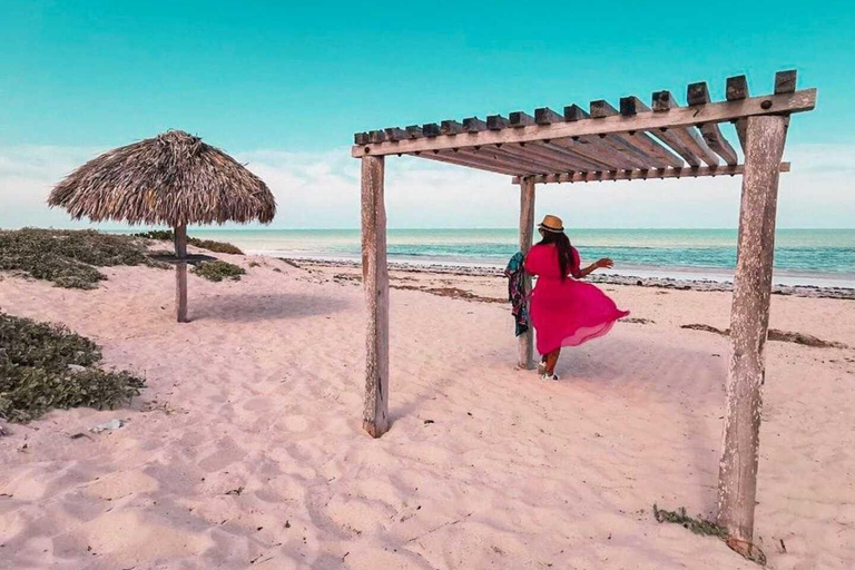 Excursión a Ría Lagartos, Coloradas y Playa CancúnitoMérida: Excursión a Ría Lagartos, Coloradas y Playa de Cancunito