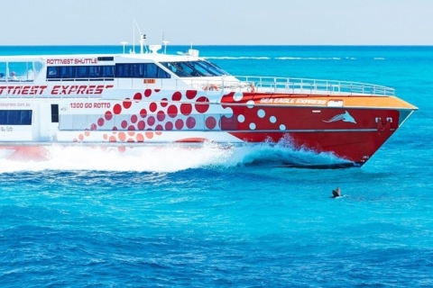 Depuis Fremantle : Billet de ferry aller-retour pour l'île de RottnestB Shed Départ