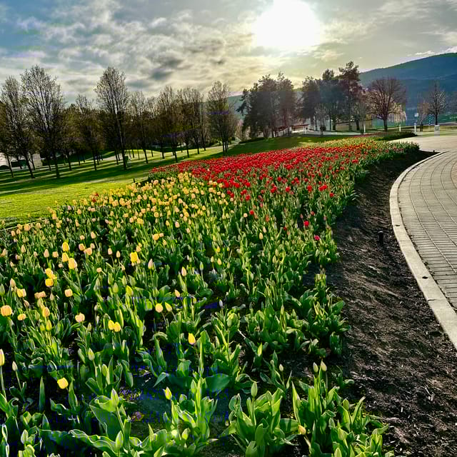 Kelowna Walking Food Tour with 7 Tastings GetYourGuide