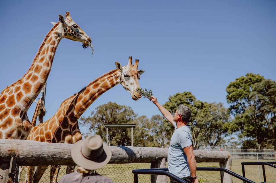 Hunter Valley Hunter Valley Wildlife Park Entry Ticket GetYourGuide