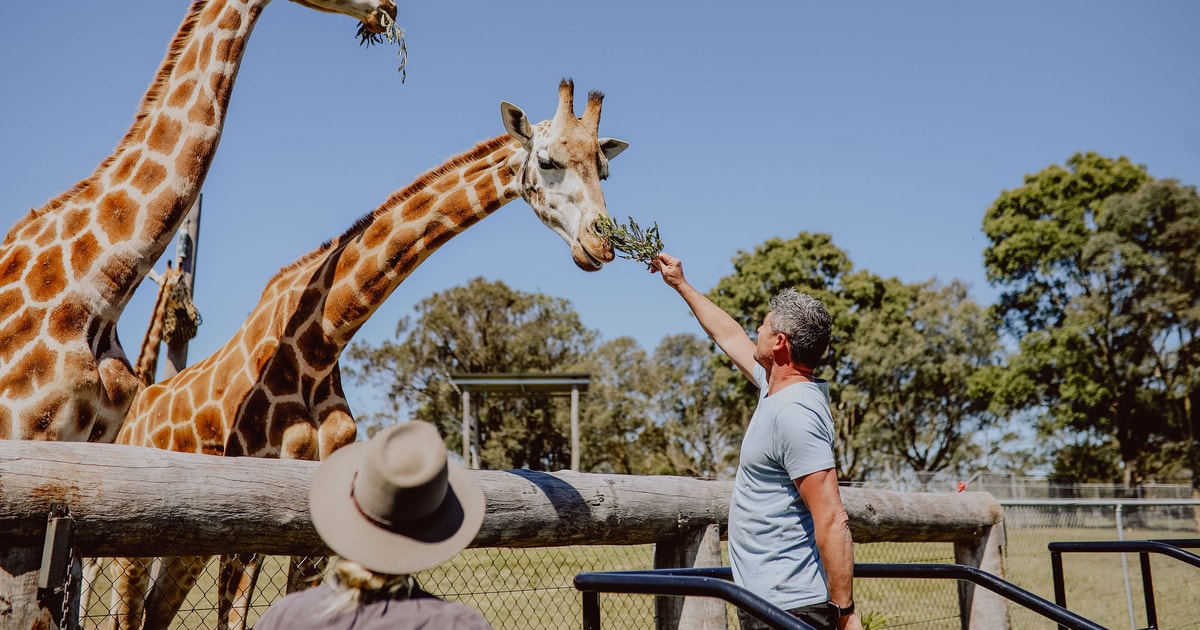 Hunter Valley: Hunter Valley Wildlife Park Entry Ticket | GetYourGuide