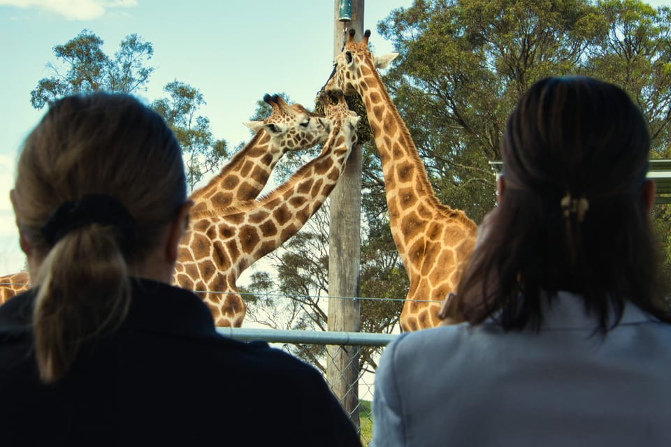 Hunter Valley Hunter Valley Wildlife Park Entry Ticket GetYourGuide