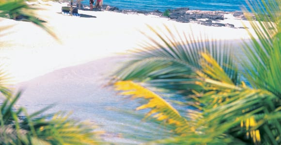 Ile aux Cerfs: Island & Waterfall Speedboat Tour with Lunch