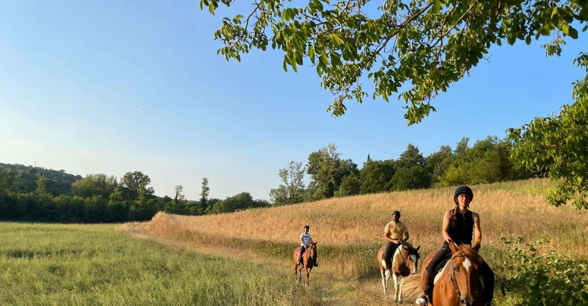 Siena, Horseback Adventure in the Tuscan Countryside - Housity