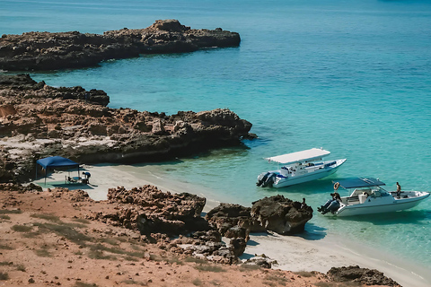 Muscat: Dimaniyat Islands Snorkeling Trip with Hotel Pickup Afternoon Dimaniyat Islands Snorkeling Trip ( Hotel Pickup )