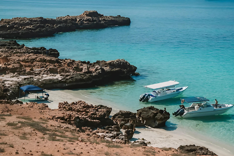 Muscat: Dimaniyat Islands Snorkeling Trip with Hotel Pickup Afternoon Dimaniyat Islands Snorkeling Trip ( Hotel Pickup )