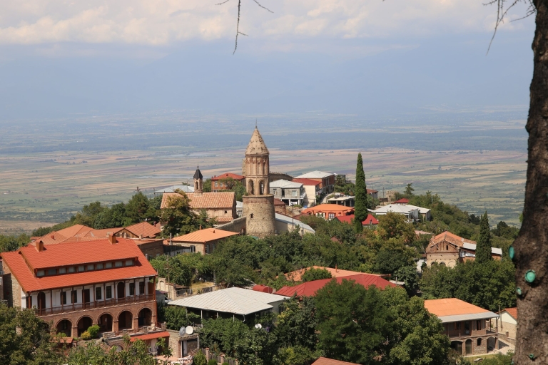 Depuis Tbilissi : Kakheti & Sighnaghi - Excursion guidée d'une journée avec vin