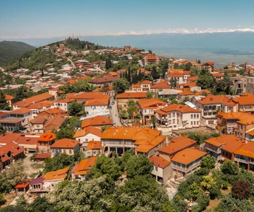 Da Tbilisi: Escursione guidata di un giorno a Kakheti e Sighnaghi con vino