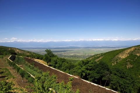 Desde Tiflis Kakheti y Sighnaghi: Excursión guiada de un día con vino