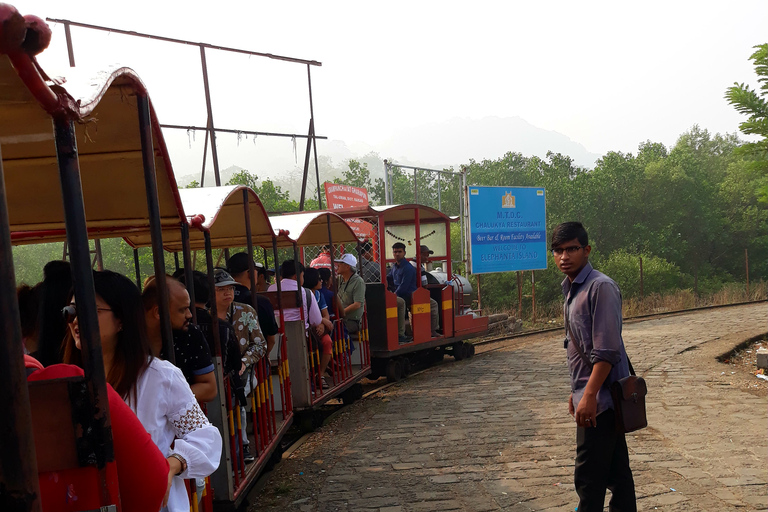 Mumbai: Guidad tur till ön Elephanta och grottorna