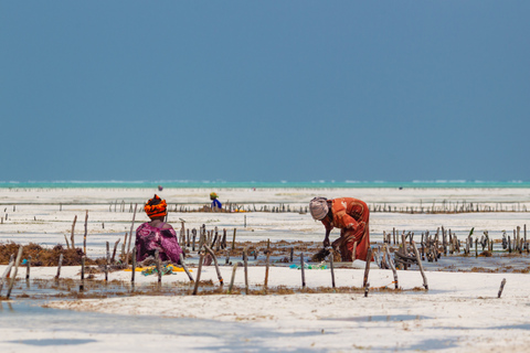 Zanzibar: rondleiding Kuza-grot en zeewierboerderij