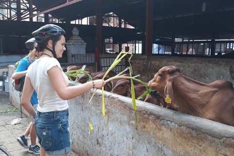 Visite à vélo du patrimoine du sud de Mumbai