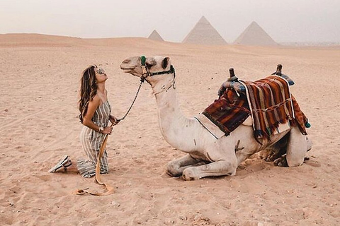 Visite du Grand Musée Egyptien, des Pyramides et du Sphinx