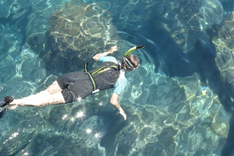 Funchal: Marine Eco Park snorkelavontuurBasis uitrusting