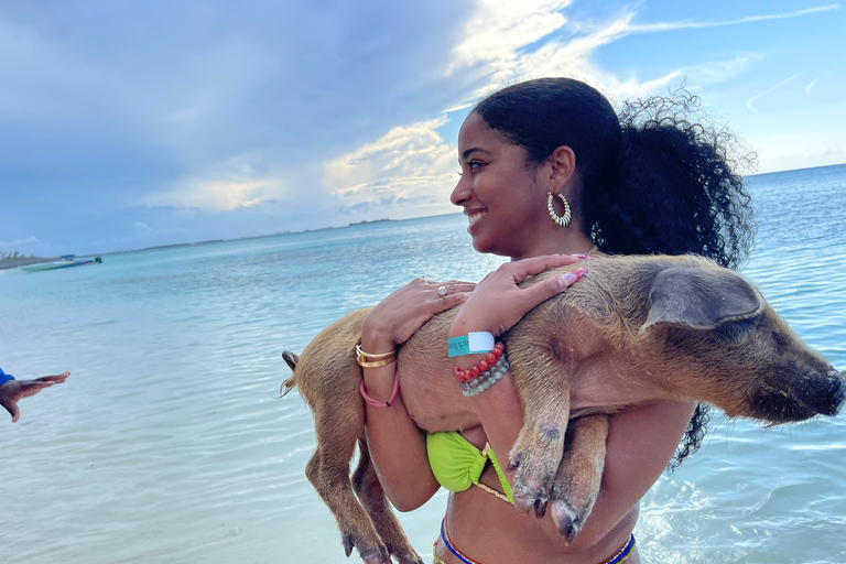 007-Mañana Todo Incluido Nadar con Cerdos en la Isla Rosa007 Todo Incluido-Nadar con cerdos en la Isla Rosa