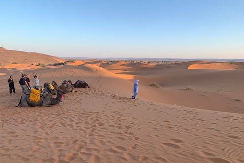 Vanuit Agadir: Jeep woestijnsafari met lunch en kameeltochtVertrek uit Agadir