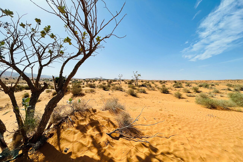 Z Agadiru: Jeep Desert Safari z lunchem i przejażdżką na wielbłądzieWyjazd z Taghazout