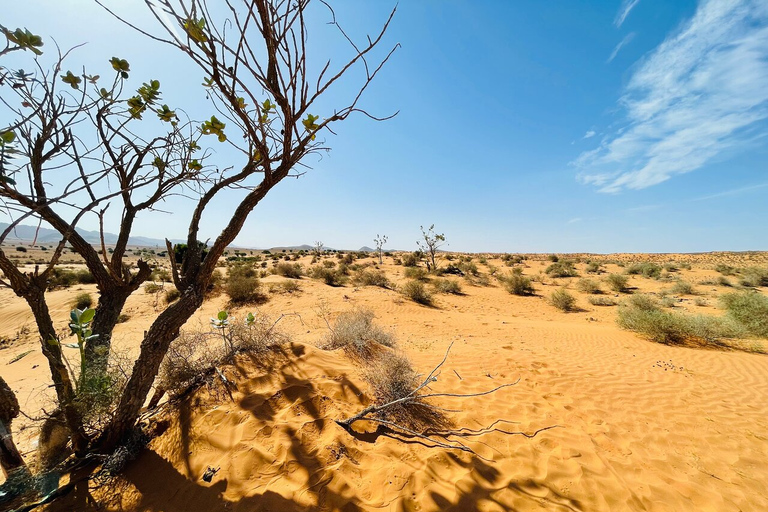 Desde Agadir: Safari en Jeep por el Desierto con Comida y Paseo en CamelloSalida de Taghazout