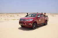 Boavista, Green Turtle & Shark Bay Sandboard Tour & Tasting - Housity