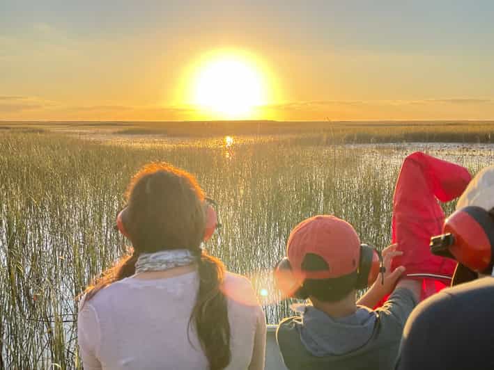 Everglades: Passeio ao pôr do sol de verão em um pequeno airboat particular