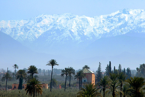 Marrakesh: A Yoga &amp; Detox Day in Vibrant Marrakesh