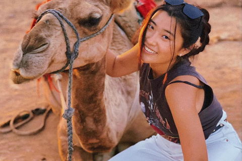 Tangeri: Giro in cammello al tramonto sulla spiaggia di Achakar e cena marocchinaTangeri: giro in cammello al tramonto sulla spiaggia di Achakar e cena marocchina