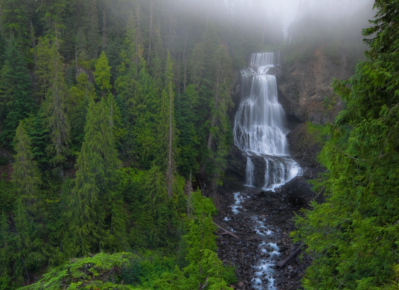 Whistler: Morgen med bjørnene Land Rover naturskøn udflugt