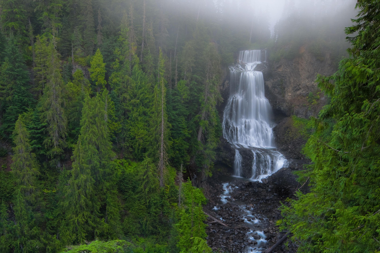 Whistler: Morning with the Bears Land Rover Scenic Tour