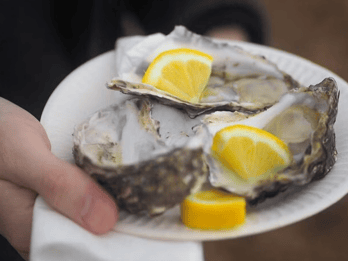Из Дубровника: тур на целый день к дегустации Ston & Oyster