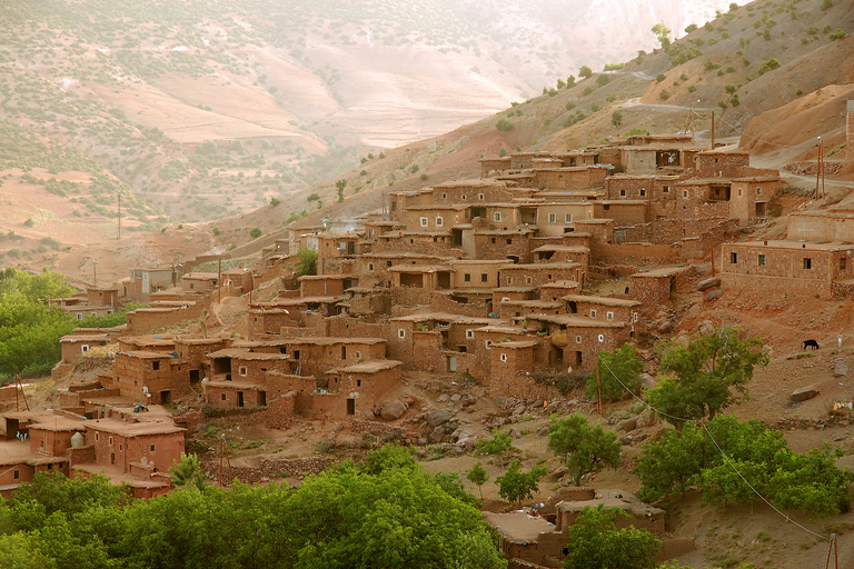 Excursion dans le désert d'Agafay, les montagnes de l'Atlas et à dos de chameau à Marrakech