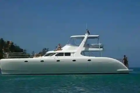 From Punta Cana: Saona Island Private Guided Catamaran Tour