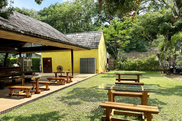 مغامرة شيانغ ماي ليوم كامل: المشي لمسافات طويلة، والتزحلق على الأنابيب، ومشاهدة الفيلةالرحلات، وا