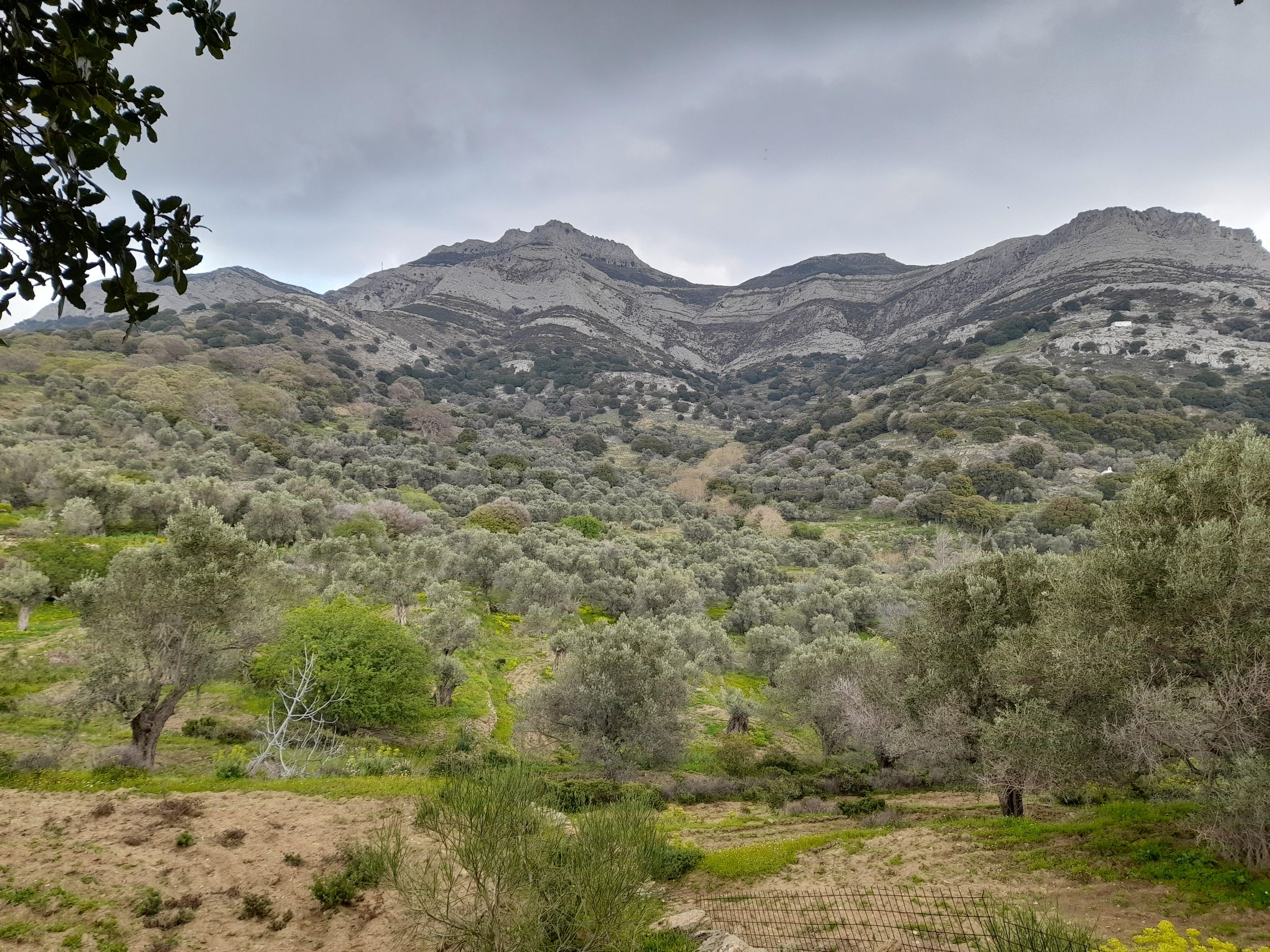 Naxos: Landpartie zwischen Dörfern und byzantinischen Kirchen