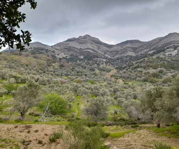 Naxos: Wandeling op het platteland tussen dorpjes & Byzantijnse kerken