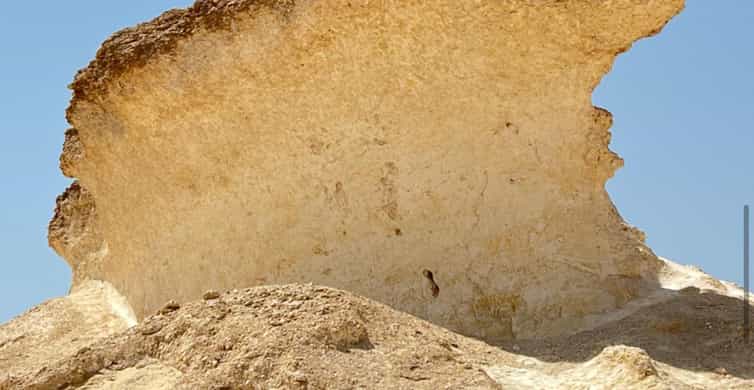 From Doha: Culture & History Qatar Tour to the North & West photo 20