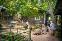 Mahé, Saint-Anne Marine Park and Moyenne Island Cruise - Housity