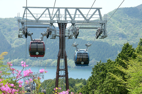 Da Tokyo: Crociera ad Hakone ed escursione di un giorno alla quinta stazione del Monte Fuji